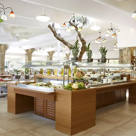 度假村 安西塞姆斯海滩酒店及spa